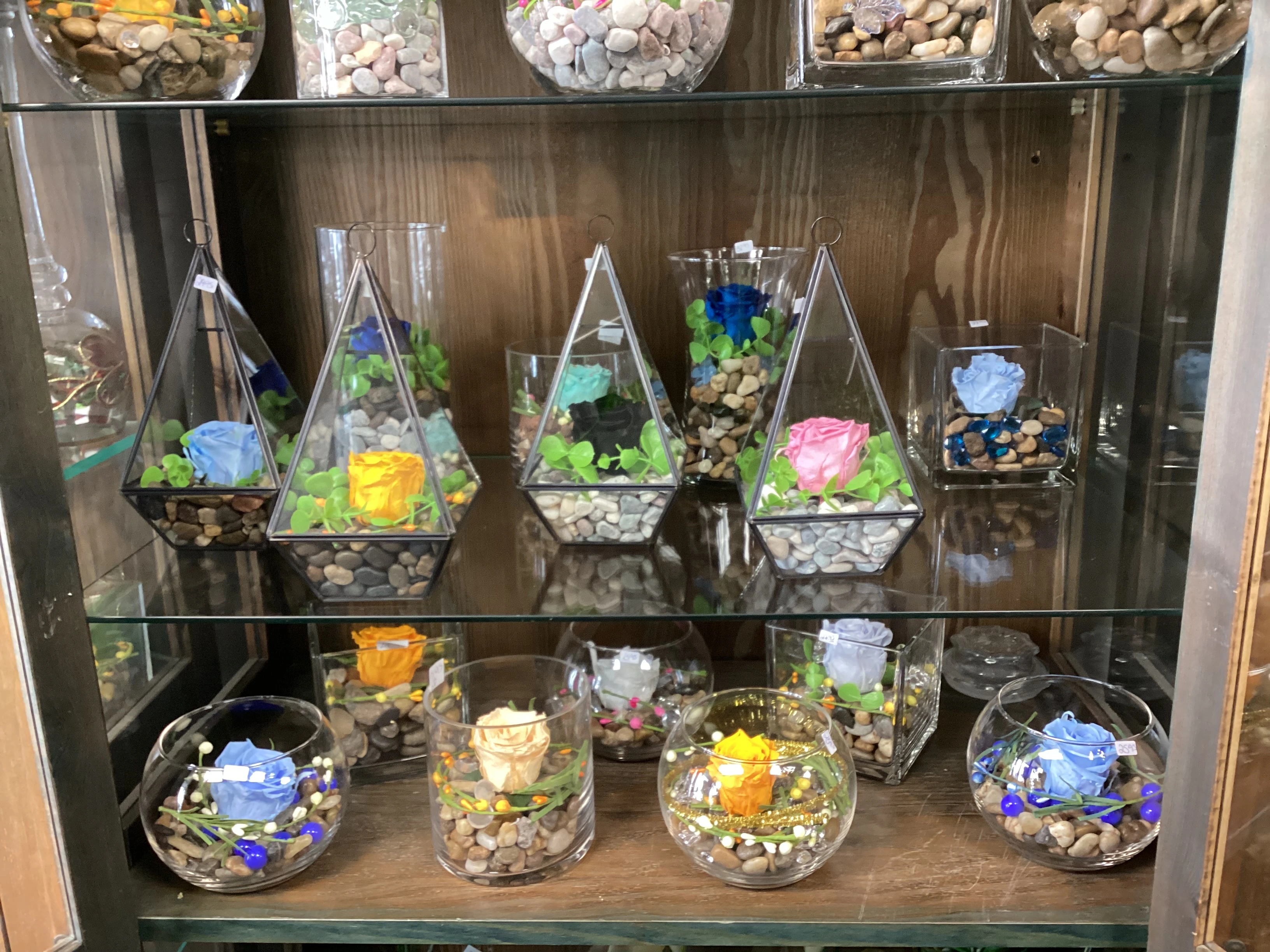 Terrariums et roses éternelles